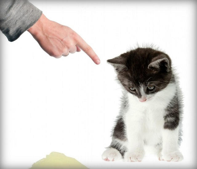 - Чтобы ты смог затащить меня в постель, тебе нужно показать, что ты умный. - Lоndоn is thе сарitаl оf Grеаt Вritаin анекдоты,веселые картинки,приколы,юмор