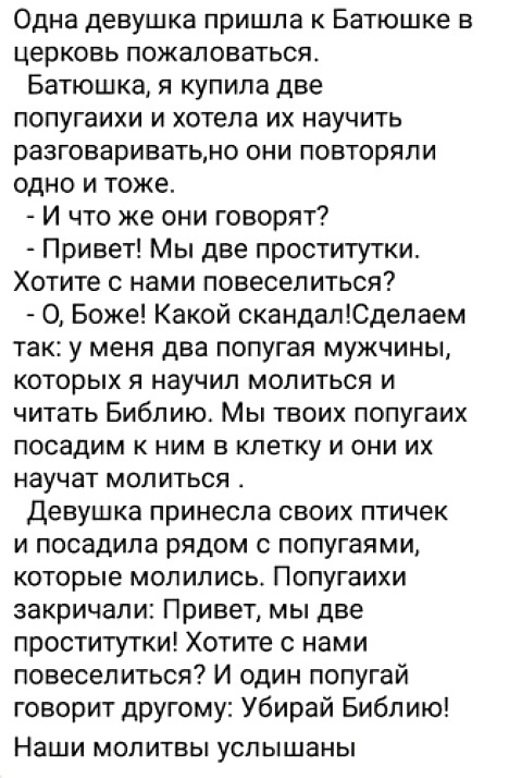 Покупатель, недовольный качеством навоза, так и не смог подобрать подходящего эпитета, чтобы охарактеризовать товар анекдоты,веселые картинки,юмор