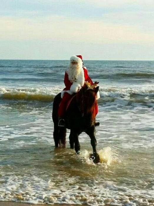 Они уже в пути! картинки,позитив,фото-приколы,юмор