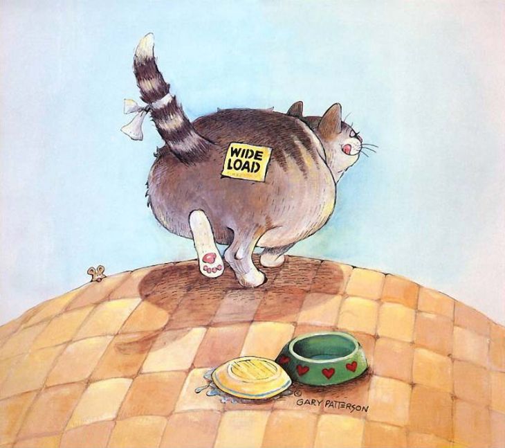 Картинка голодной кошки и толстого кота