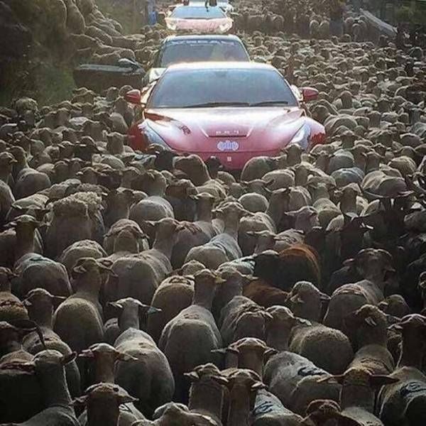 Подборка воскресных картинок юмор