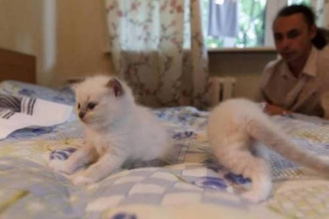 Показалось Показалось смешные картинки