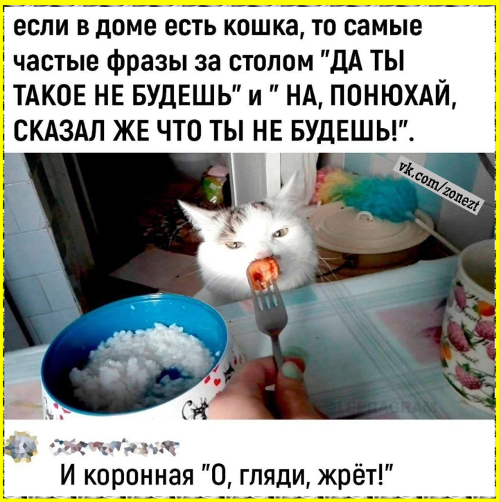 Веселые картинки с приколюшками Веселые картинки с приколюшками