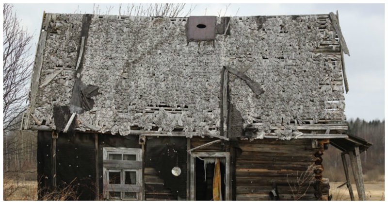 В Госдуме предложили раздать пустующие дома молодым Толстой, госдума, жилье, заброшенные дома, инициатива, предложение