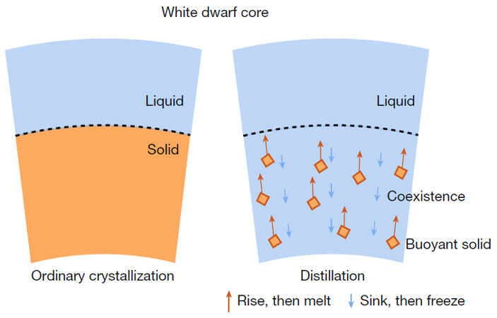Рис. 2. Разные сценарии кристаллизации ядра белого карлика