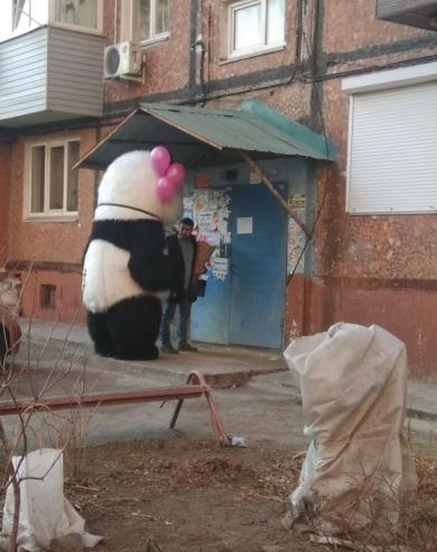 Прикольное эхо 8 Марта! ))) веселые картинки