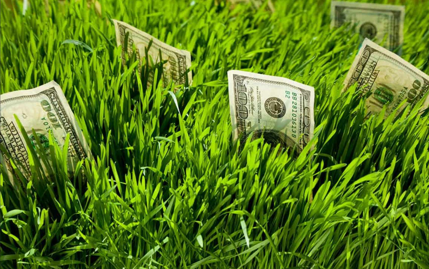Зеленый фон с деньгами. Зелень деньги. Зеленые деньги. Инвестирование в земельные участки. Денежный фон.