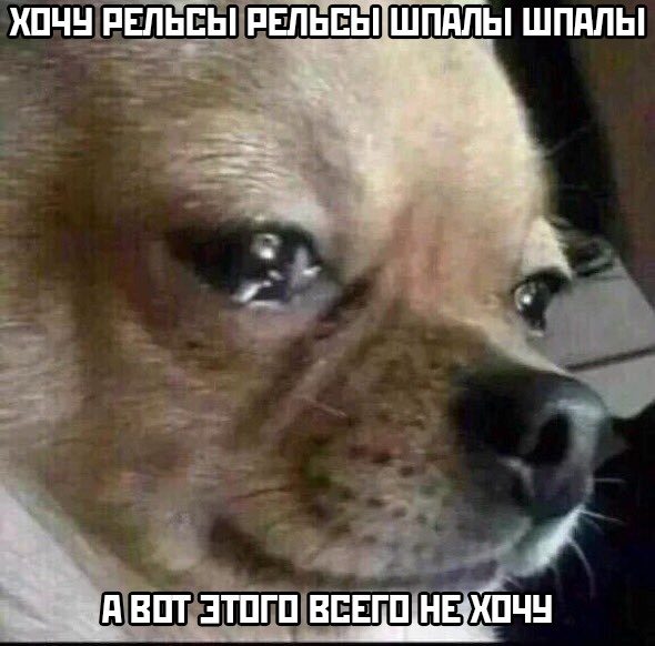 Самое забавное и смешное смешные картинки