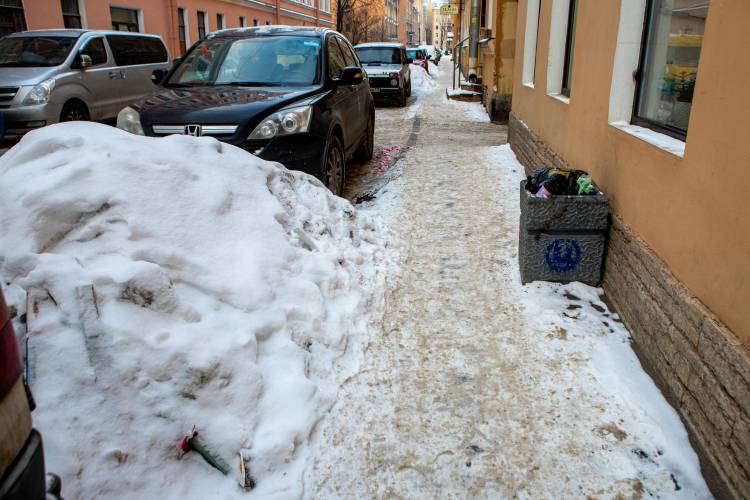 Выборы, мусорная реформа и снежный коллапс: три главных «провала» Петербурга в 2021 году