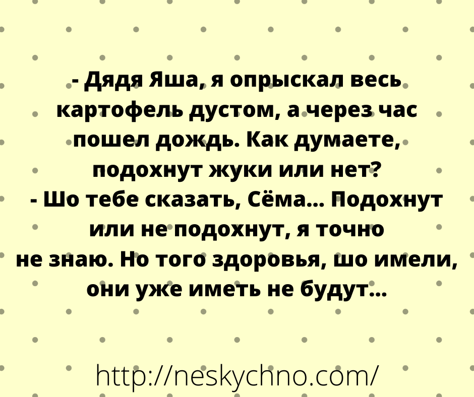 Жизнь, как она есть! Смешные и саркастичные анекдоты 