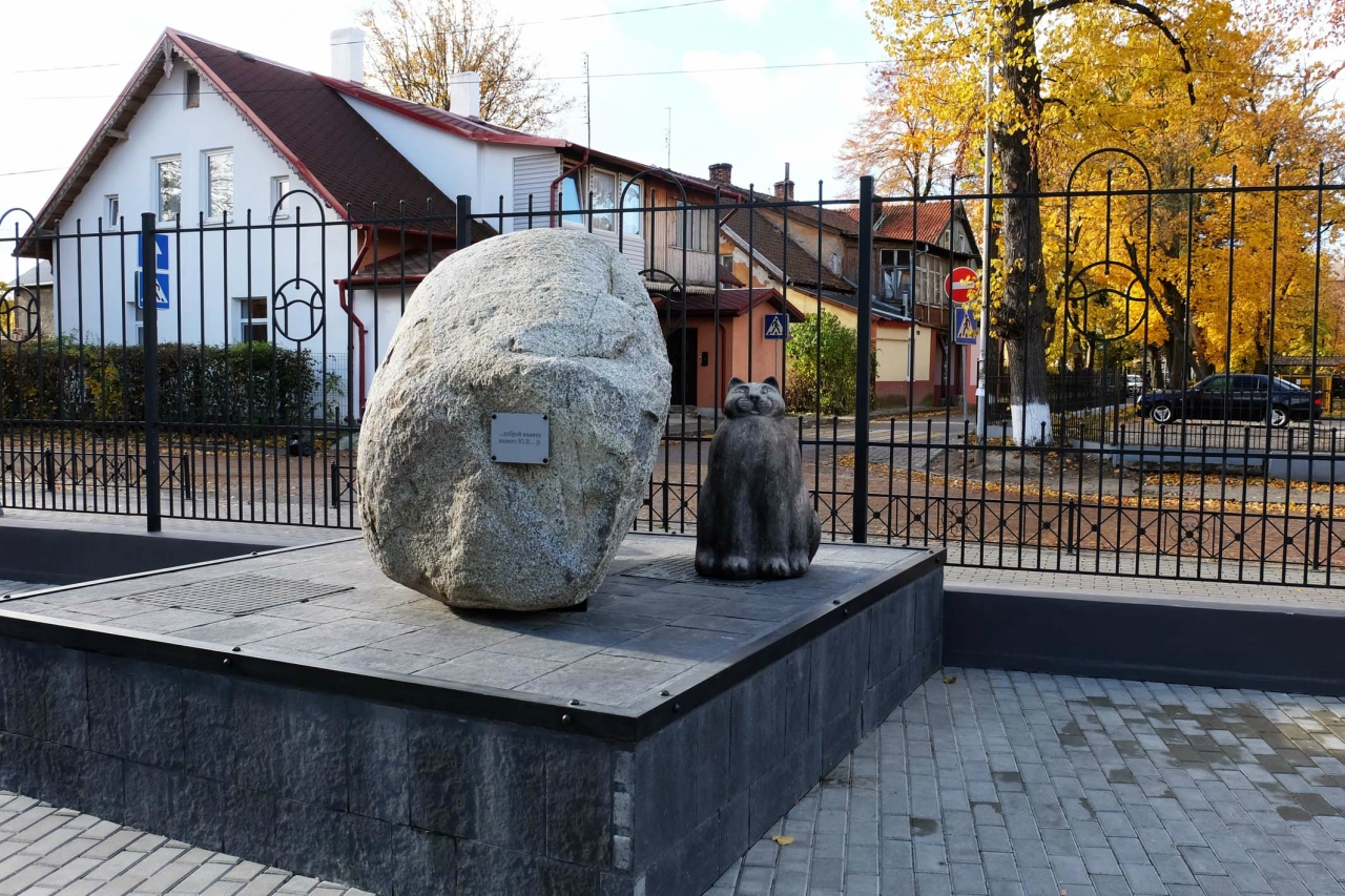 Зеленоградск калининградской области коты. Зеленоградск памятник коту. Зеленоград город котов. Город кошек зеленоградск калининградская область. Зеленоградск город котов.