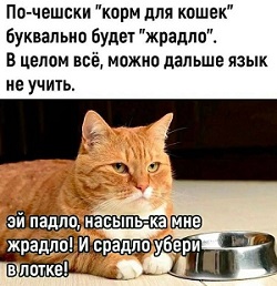 Дневник кота Василия апреля, марта, Вчера, потом, Хозяин, хозяйка, Сегодня, вчера, попугайчика, шторы, потому, вернулся, сразу, шкафа, нельзя, логика, логики, разрыдалась© , средневековое, мракобесие19