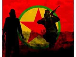 Рабочая партия Курдистана была создана турецкой разведкой