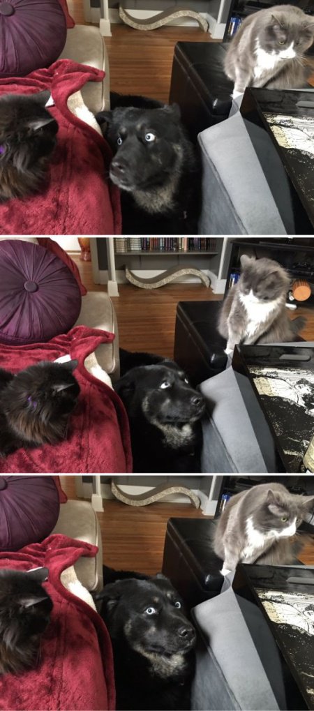 Фотоподборка четверга Фотоподборка четверга