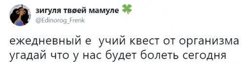 Прикольные картинки на каждый день 