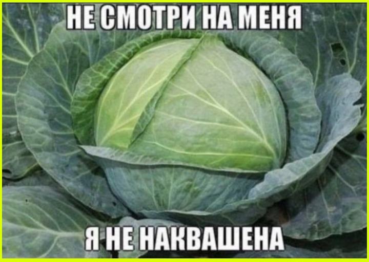 Юмор на сон грядущий Пятница 