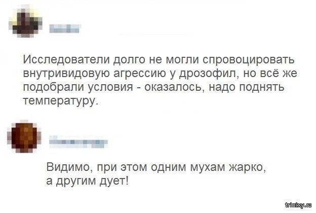 Смешное из соцсетей Смешное из соцсетей