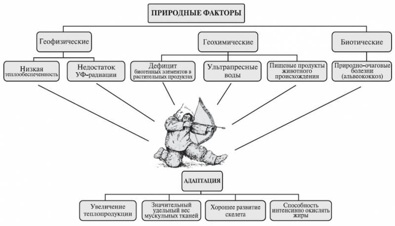 Штурмуя Высокие Широты. Первые люди в Гренландии история