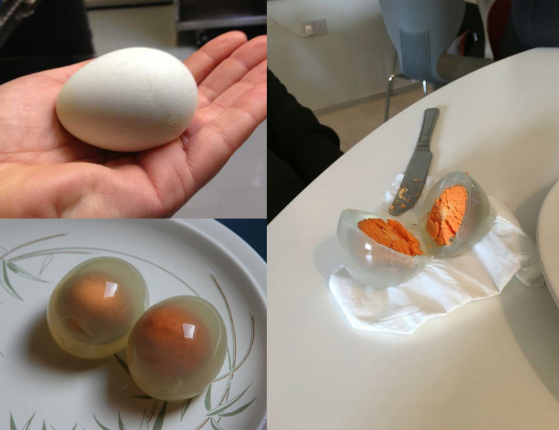 Удивительное и невероятное своими глазами не всё так грустно