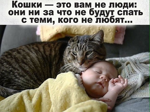 Собрался на рыбалку. Не смог найти сигареты. Взял сигареты сына. Через час поймал трех дельфинов, двух акул и одно лохнесское чудовище