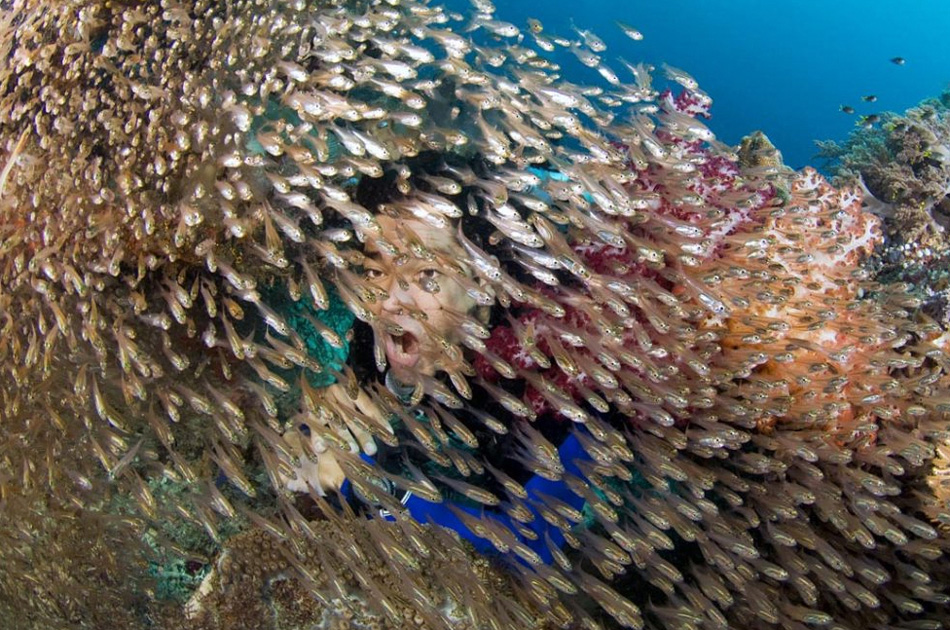 Фотография: Волшебство океана №7 - BigPicture.ru