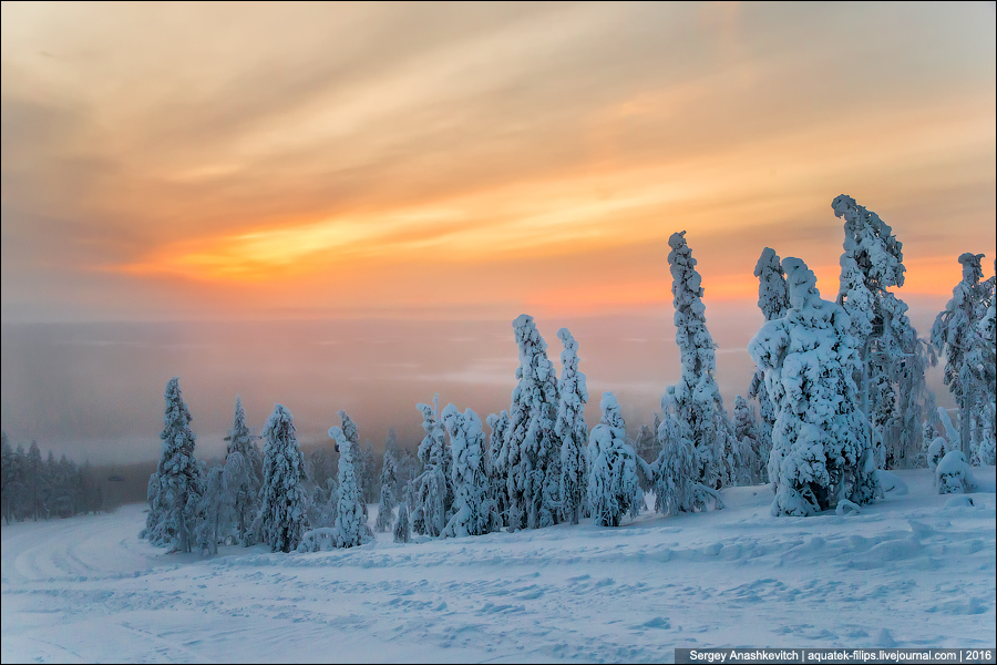 Зима в Лапландии / Winter in Lapland