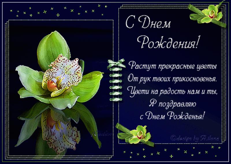 Картинки с днем рождения мужчине со стихами гифки, надписями