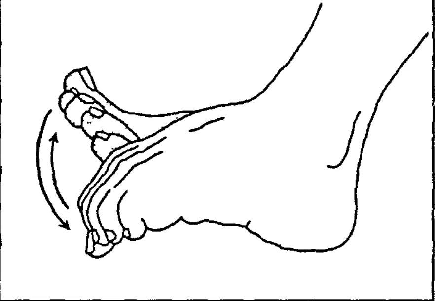 Молодость лица на пальцах стоп: 1 тибетское упражнение и 2 простых упражнения, чтобы вы могли расслабить мышцы пальцев стоп пальцы, упражнение, пальцев, стопы, чтобы, упражнения, начинает, именно, выполнять, этого, области, функции, линии, затем, мышцы, очередь, которые, помочь, могут, обувь