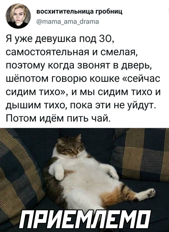 Подборка прикольных картинок  приколы,смешные картинки,юмор