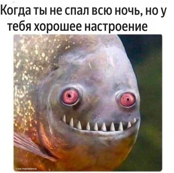 Сладкое есть можно, только немного, не на ночь, и нельзя! 