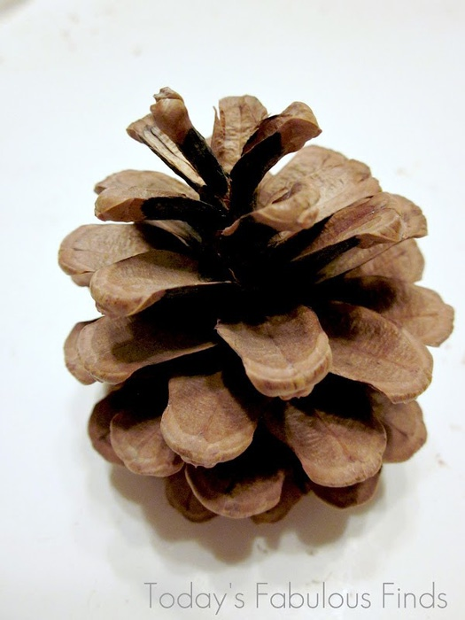 Pine Cone Wreath_6002 (525x700, 81Kb)