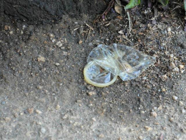 Записки Колорадского Таракана. Одинокий Чебурашка с мегафоном в ночи… украина