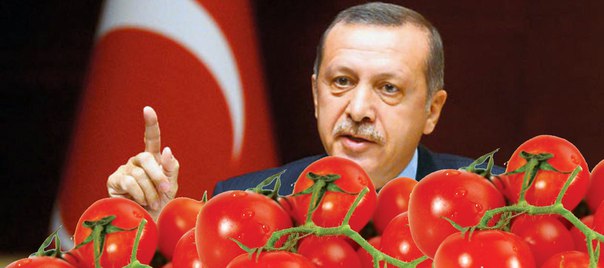 Турeцкие помидоры незаконно поставляются в Россию через Белоруссию