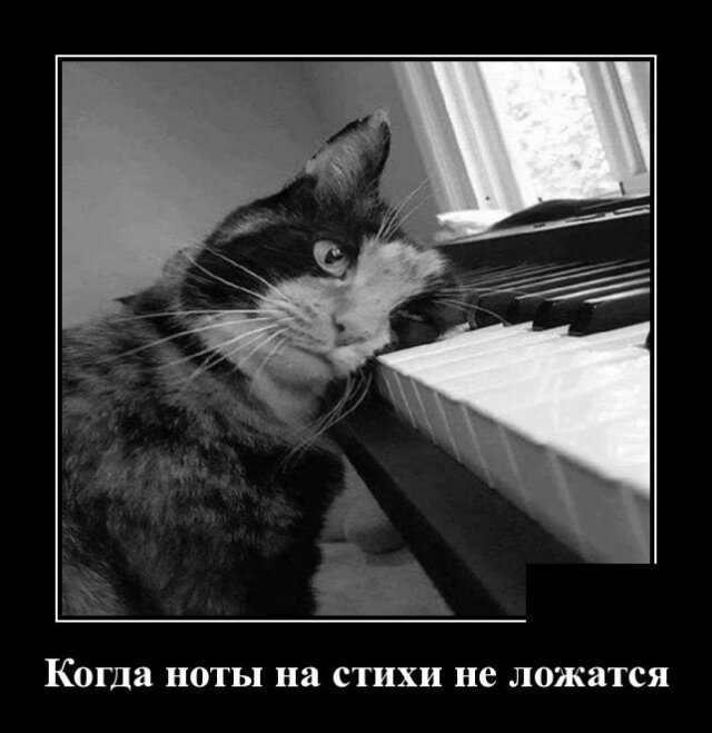 Утренняя подборка прикольных картинок №11 Утренняя подборка прикольных картинок №11 отдых