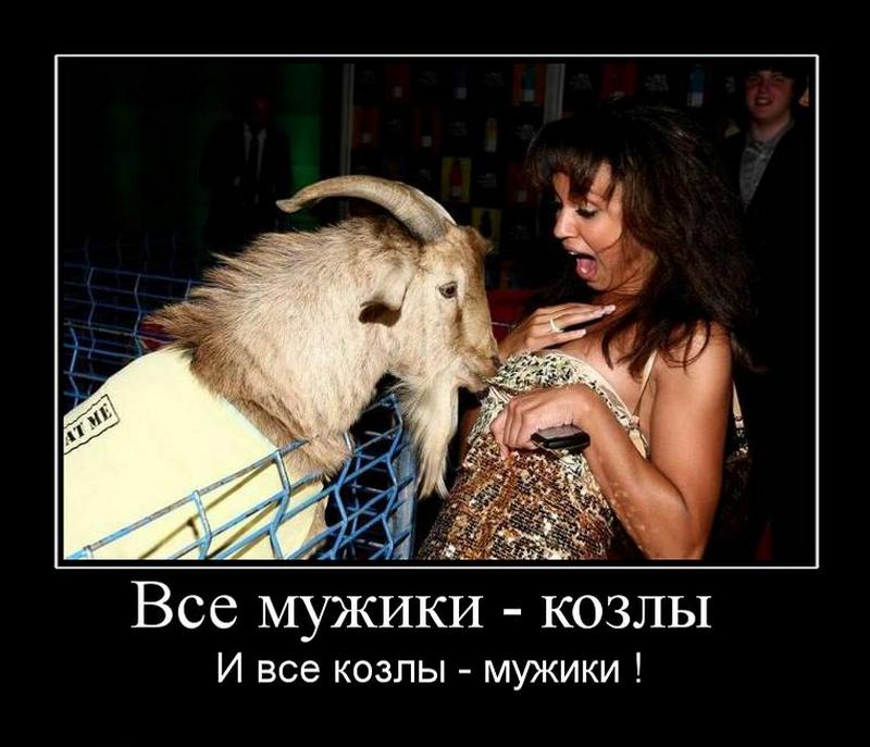 Смешная картинка все мужики козлы, новогодние мастер-класс скрапбукинг