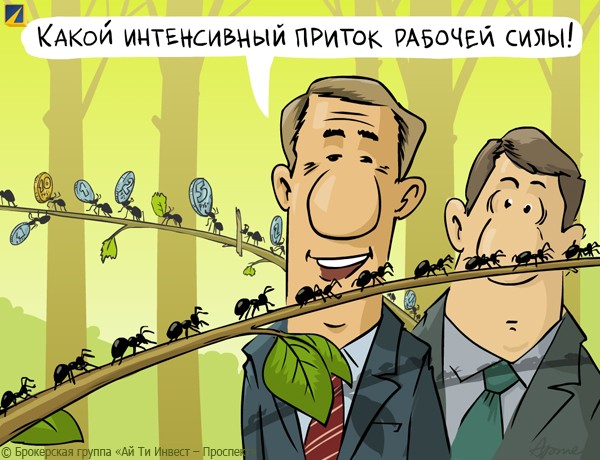 Новости ЕС: поляки отгородятся стеной от Украины, а Германия усложнит мигрантам жизнь