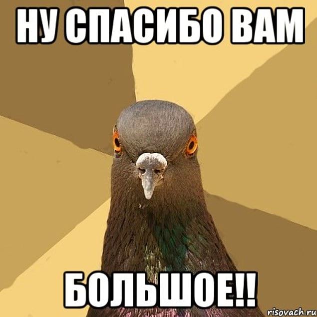 Марта, картинка благодарю вас сэр