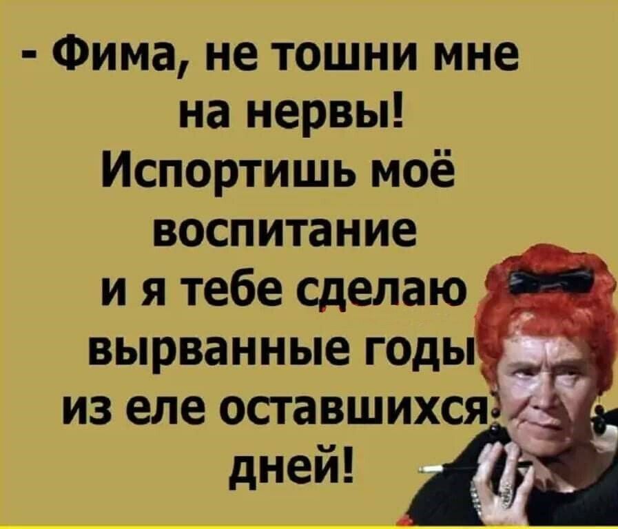 Яркие шутки, чтобы получить хорошее настроение 