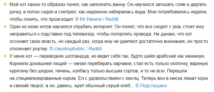 Без кота и жизнь не та Без кота и жизнь не та спасет, животное, спасёт, припёрсси , такую, свободу , хочет , режут, рядом, Потому, слезами , Горькими, плачет , Котэматрёшка Кот, лапки , пострадало , взгляда , планету , последний, Любовь
