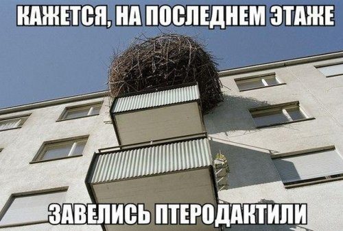 Прикольные картинки на каждый день 