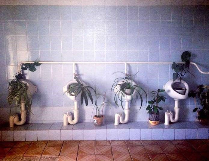 Туалетные приколы! Туалетные приколы!