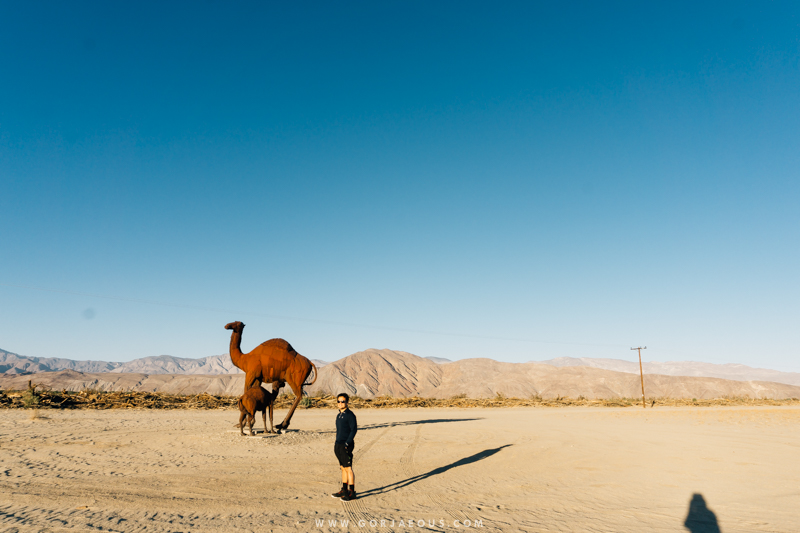 Anza-Borrego Springs-5.jpg
