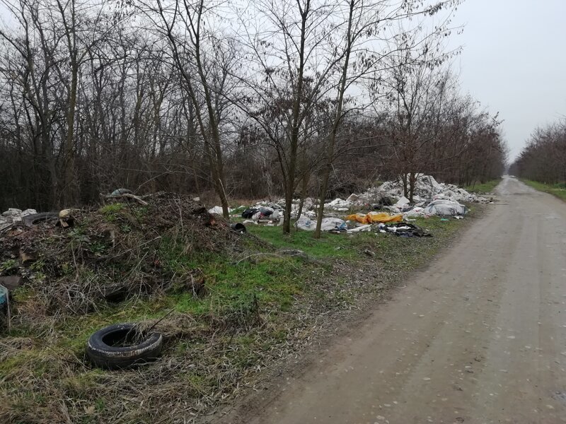 Про мусорный коллапс в Краснодаре Про мусорный коллапс в Краснодаре