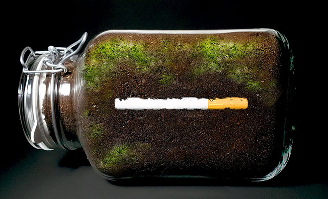 Мужчина закопал сигареты в трехлитровую банку и показал, как за год меняется земля вокруг них