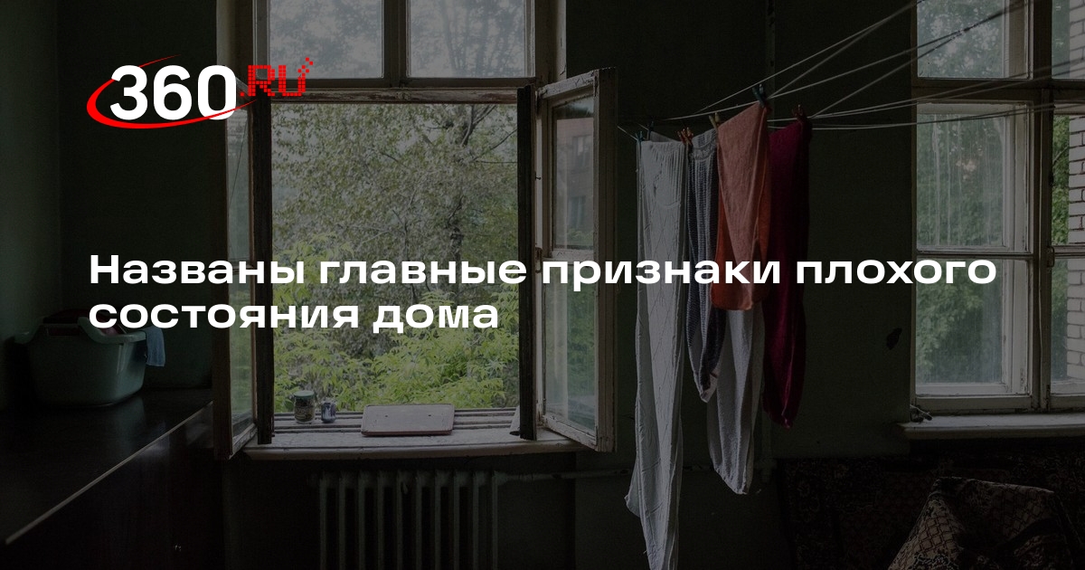 Life.ru: черные разводы на стенах являются признаками опасной плесени в доме
