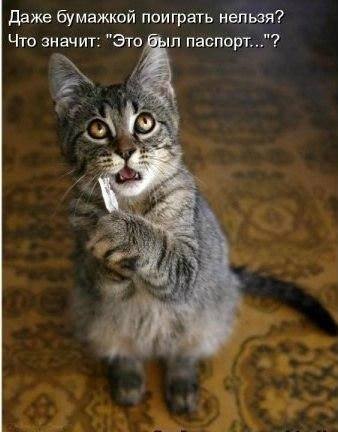 Минутка юмора для прекрасного настроения 