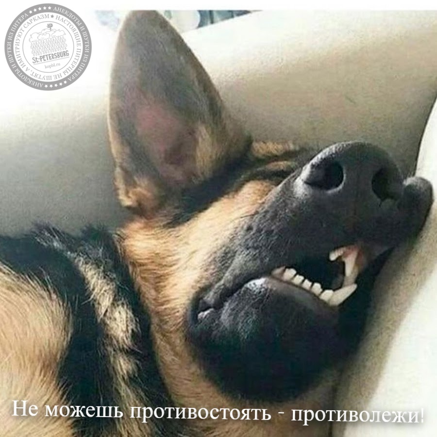 Противолежи