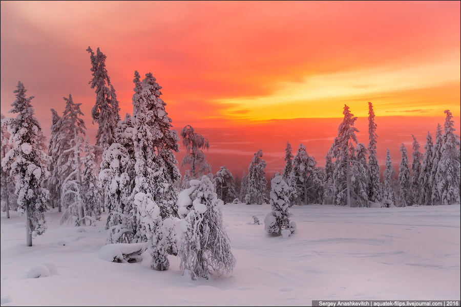 Зима в Лапландии / Winter in Lapland