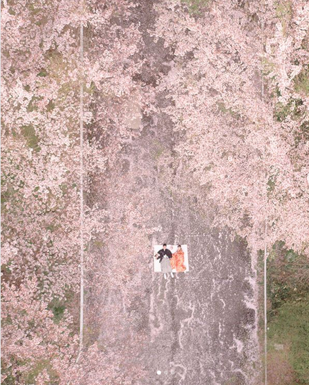 Фотограф заснял, как в Токио ″внезапно″ зацвела сакура. И это что-то! Фотограф заснял, как в Токио ″внезапно″ зацвела сакура. И это что-то! страны,туризм