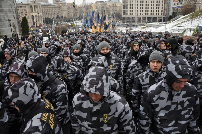 Записки Колорадского Таракана. Одинокий Чебурашка с мегафоном в ночи… украина